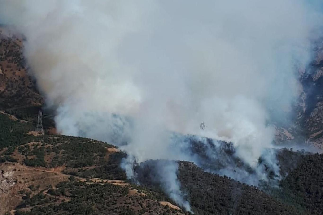 İçişleri Bakanlığından valiliklere orman yangınları genelgesi